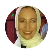 Professor Nermine Amr