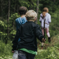 nature and mental health